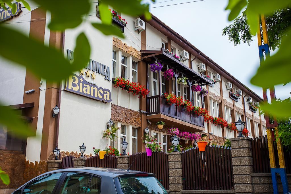 Pensiunea Bianca Botosani Exterior photo